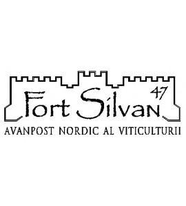 Fort Silvan